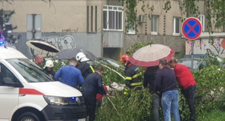 U nevremenu u Tuzli teže povrijeđena žena nakon što je drvo palo na nju