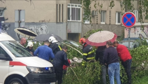 U nevremenu u Tuzli teže povrijeđena žena nakon što je drvo palo na nju