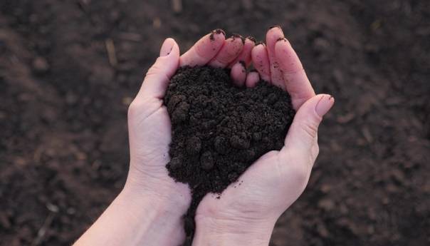 U New Yorku dopušteno ljudsko kompostiranje