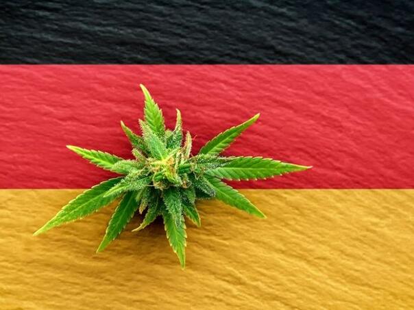 U Njemačkoj legalizovan kanabis uz jako stroga pravila
