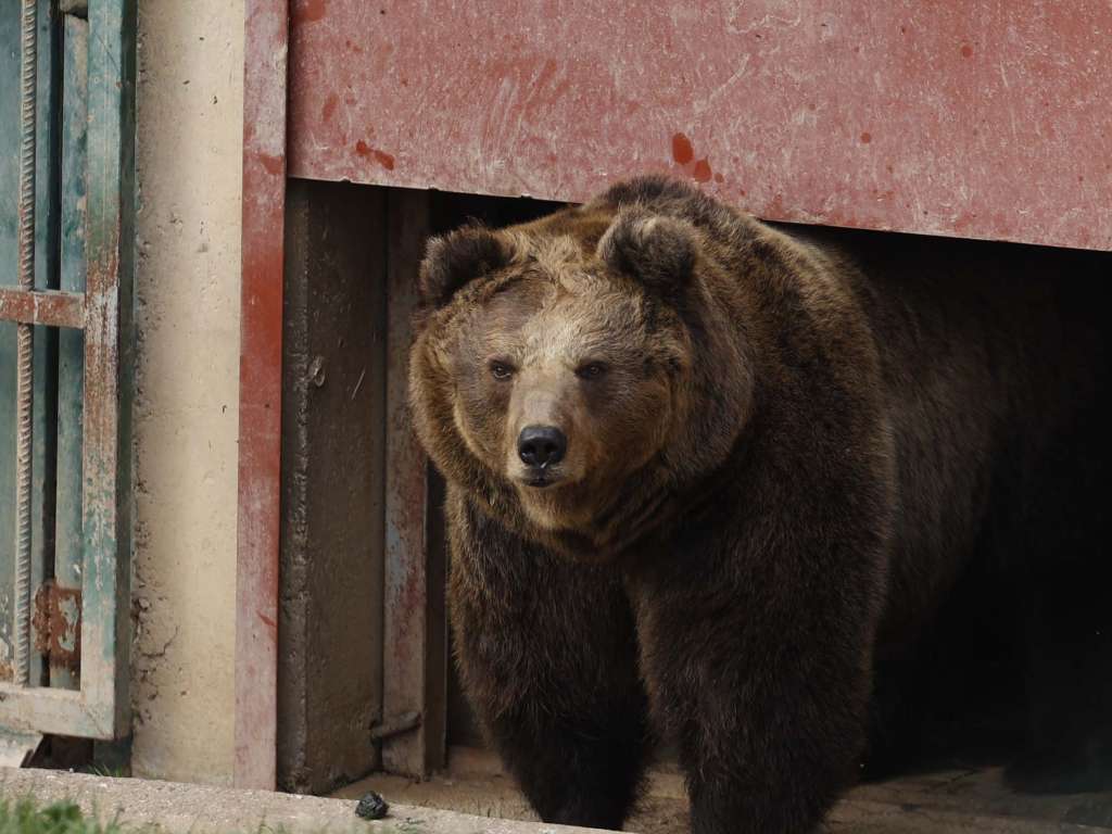 U Pionirskoj dolini i zoo vrtu počela zimska sezona