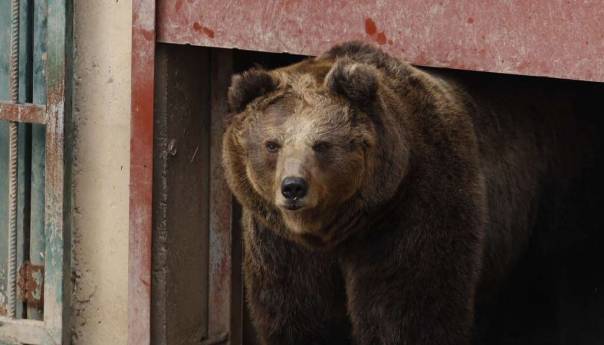 U Pionirskoj dolini i zoo vrtu počela zimska sezona