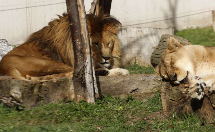 U Pionirskoj dolini u 2022. godini stotine hiljada posjetilaca