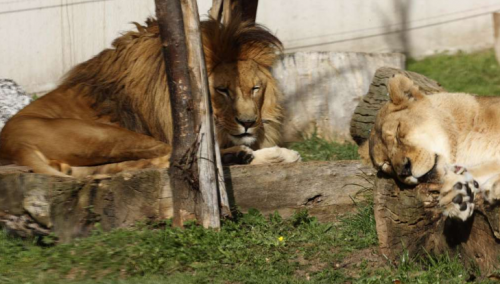 U Pionirskoj dolini u 2022. godini stotine hiljada posjetilaca