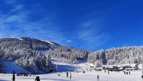U planu aplikacije za evropska i svjetska takmičenja