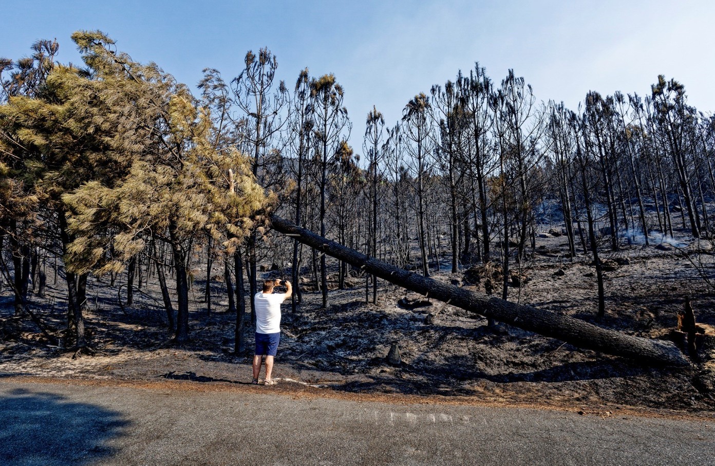 U Portugal stiže novi toplotni val, izdato upozorenje