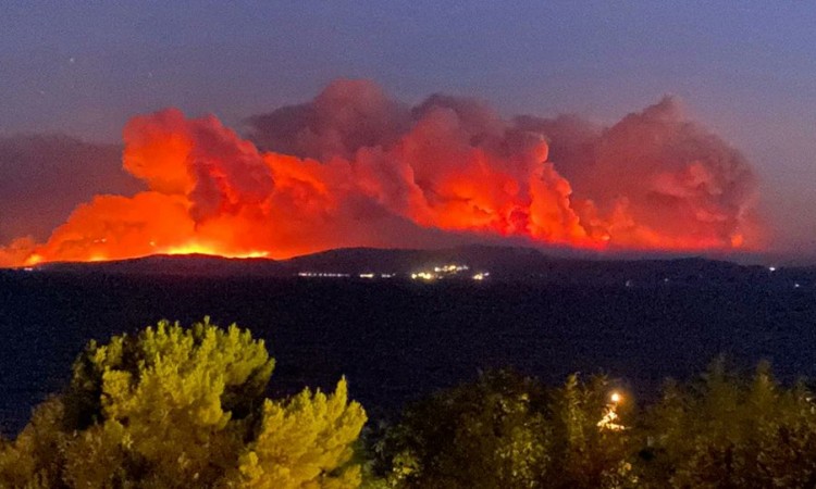 U požarima izgorjelo više od 1,3 miliona duluma šume u Grčkoj