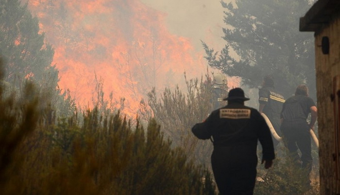 U požaru na Braču izgorjelo pet hektara borove šume