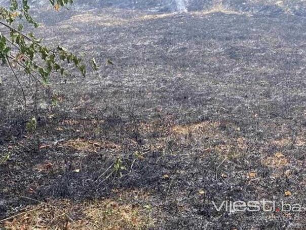 U požaru u Gornjoj Tuzli nastradala starica, palila njivu i pala