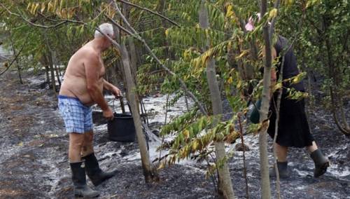 U požaru u Ortiješu kod Mostara stradali voćnjaci i vinogradi