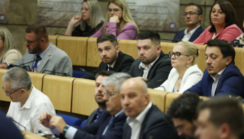 Rasprava o setu zakona: Budućnost energetskog sektora