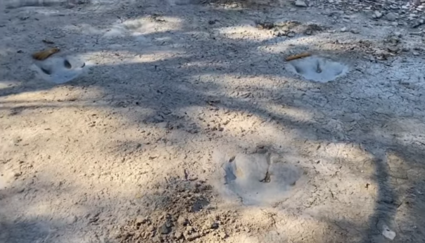 U presušenom koritu rijeke otkriveni tragovi dinosaura stari 113 miliona godina