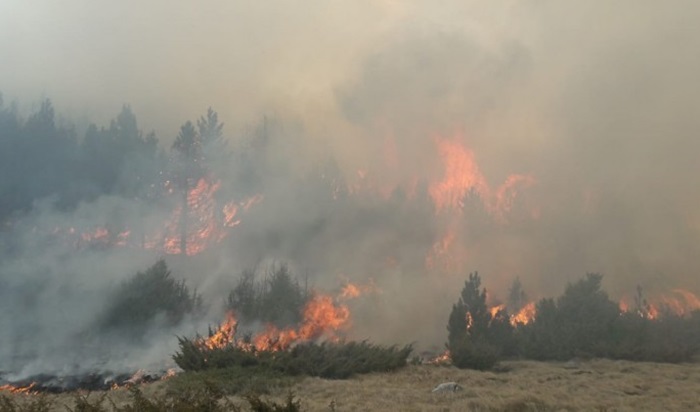 U provinciji Antaliji izbio šumski požar, u toku akcija gašenja