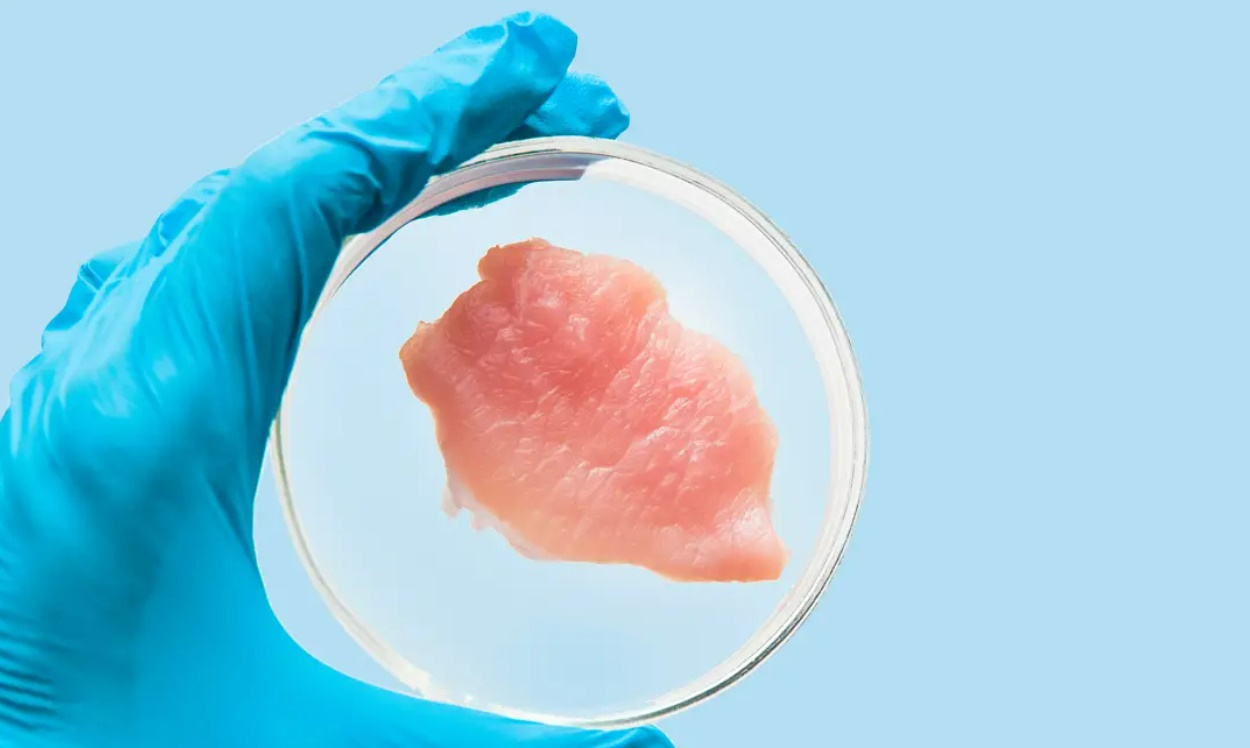 U SAD-u odobrena prodaja piletine iz laboratorije, uskoro u restoranima