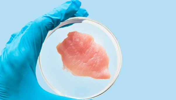 U SAD-u odobrena prodaja piletine iz laboratorije, uskoro u restoranima