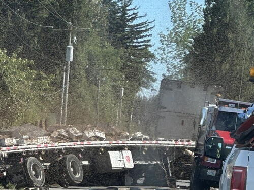 U SAD-u se prevrnuo kamion sa 250 miliona pčela