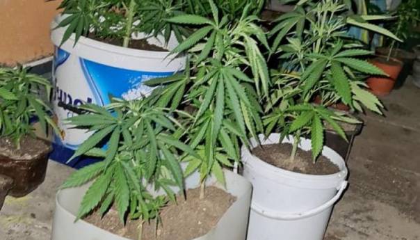 U Sarajevu uhapšen mladić zbog veće količine droge