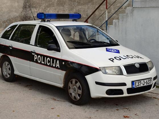 U sječi drva kod Bosanskog Grahova smrtno stradao 58-godišnjak