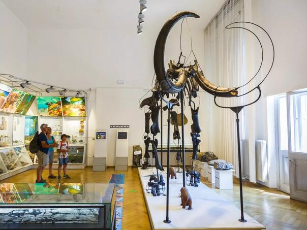 U Sloveniji danas referendum o posebnom dodatku na penziju za umjetnike