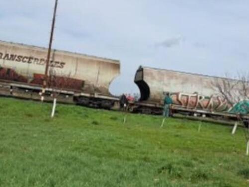 U Srbiji teretni voz iskočio iz šina, saobraćaj obustavljen