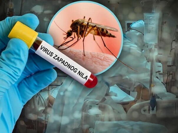 U Srbiji, u ovoj godini, 16 oboljelih od groznice Zapadnog Nila