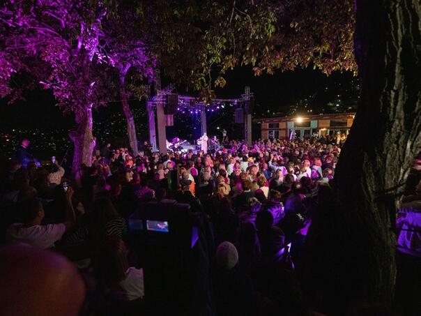 U subotu počinje festival sevdalinke "Sarajevo Sevdah Soiree"