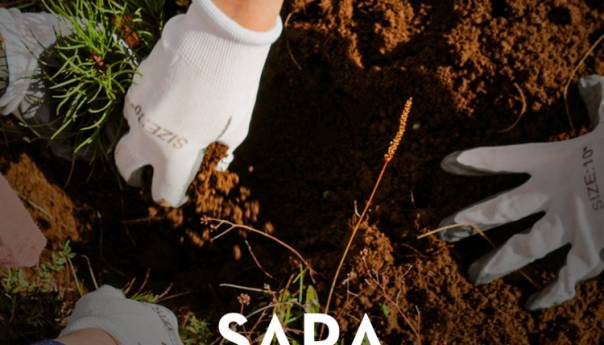 U subotu volonterska akcija 'Let's Do It - milion sadnica za jedan dan'