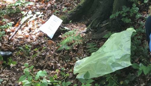 U šumi Bijela kod Bratunca pronađeni posmrtni ostaci najmanje jedne osobe