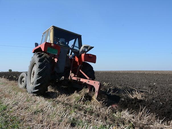 U TK ostvareno 94,7 posto plana proljetne sjetve, smanjene sjetvene površine