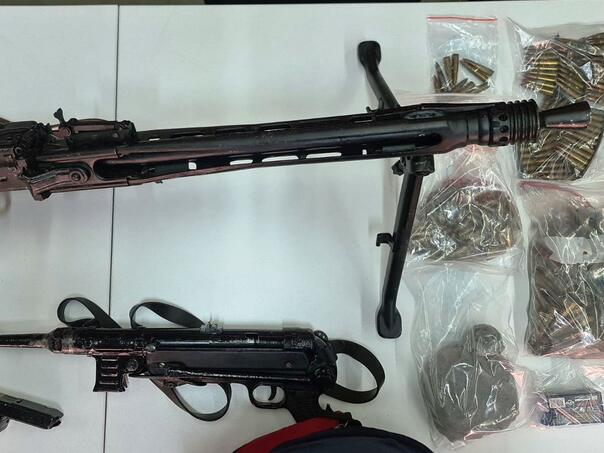 U TK utvrđen Zakon o oružju: Posebna pažnja nakon smrti vlasnika