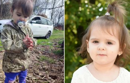 U Tužilaštvo stigla detaljna analiza ubistva dvogodišnje Danke Ilić