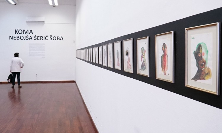 U Umjetničkoj galeriji otvorena izložba radova Nebojše Šerića Šobe