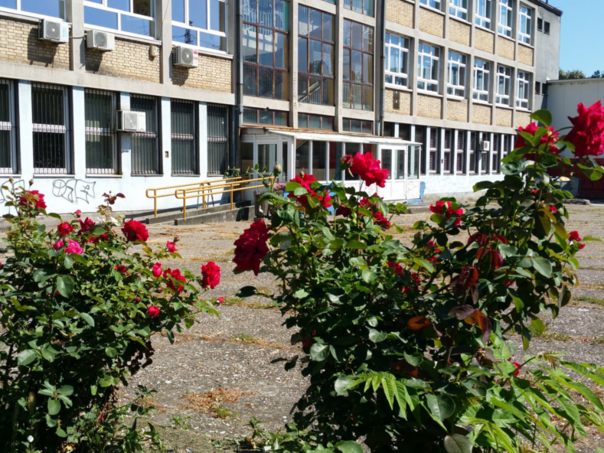 Tuzla: Učenik prijetio plastičnim pištoljem, isključen iz nastave