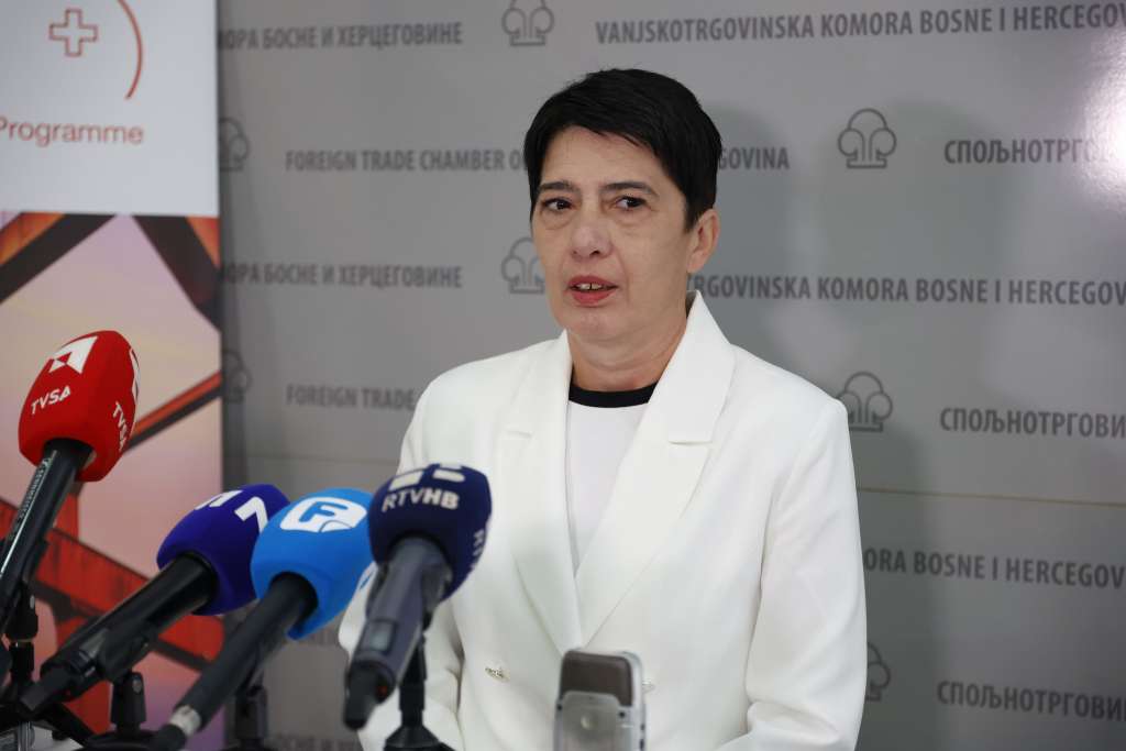 Udar Uredbe EU o CBAM-u na bh. privredu bit će značajan jer pogađa najveće izvoznike