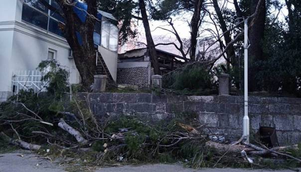 Udari vjetra u Trebinju i do 100 kilometara na sat lomili stabla