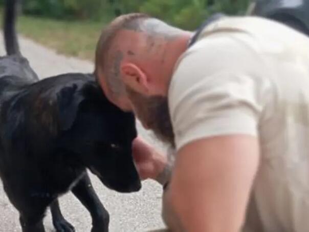 Udomljen pas Bleki kojeg je Livnjak brutalno pretukao