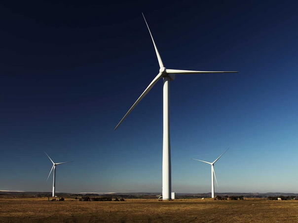 Udruženje iz Niša: Vjetropark kod Aleksinca još jedna pljačka države od osoba bliskih vlasti