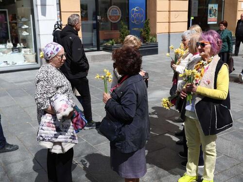 Udruženje 'Renesansa' organiziralo tradicionalnu akciju 'Dani narcisa'