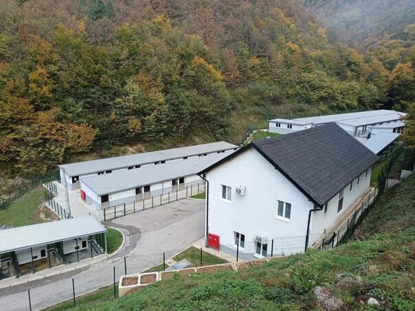 Udruženje za zaštitu životinja A.R.B Goražde sa ulica sklonilo oko 1000 pasa