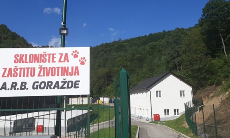 Udruženje za zaštitu životinja A.R.B preuzelo pse iz lokalnog azila