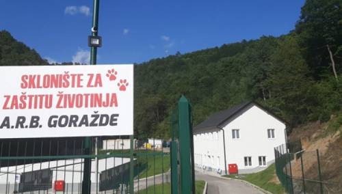 Udruženje za zaštitu životinja A.R.B preuzelo pse iz lokalnog azila