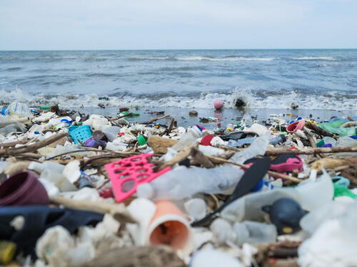 UFM: U Sredozemnom moru bi za 25 godina moglo biti više plastike nego ribe