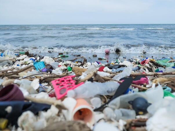 UFM: U Sredozemnom moru bi za 25 godina moglo biti više plastike nego ribe