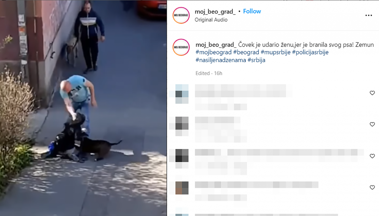 Zemun: Uhapšen muškarac osumnjičen da je pretukao ženu i njenog psa