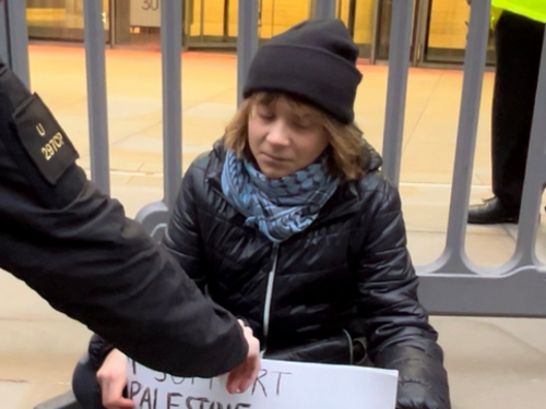 Uhapšena Greta Thunberg zbog podrške Palestinskoj akciji