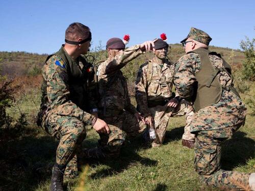 Ujedinjeno Kraljevstvo predvodi multinacionalnu obuku za jačanje OSBiH