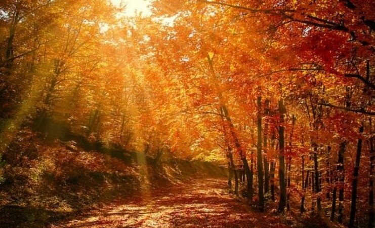 Ujutro oblačno sa maglom, poslijepodne razvedravanje