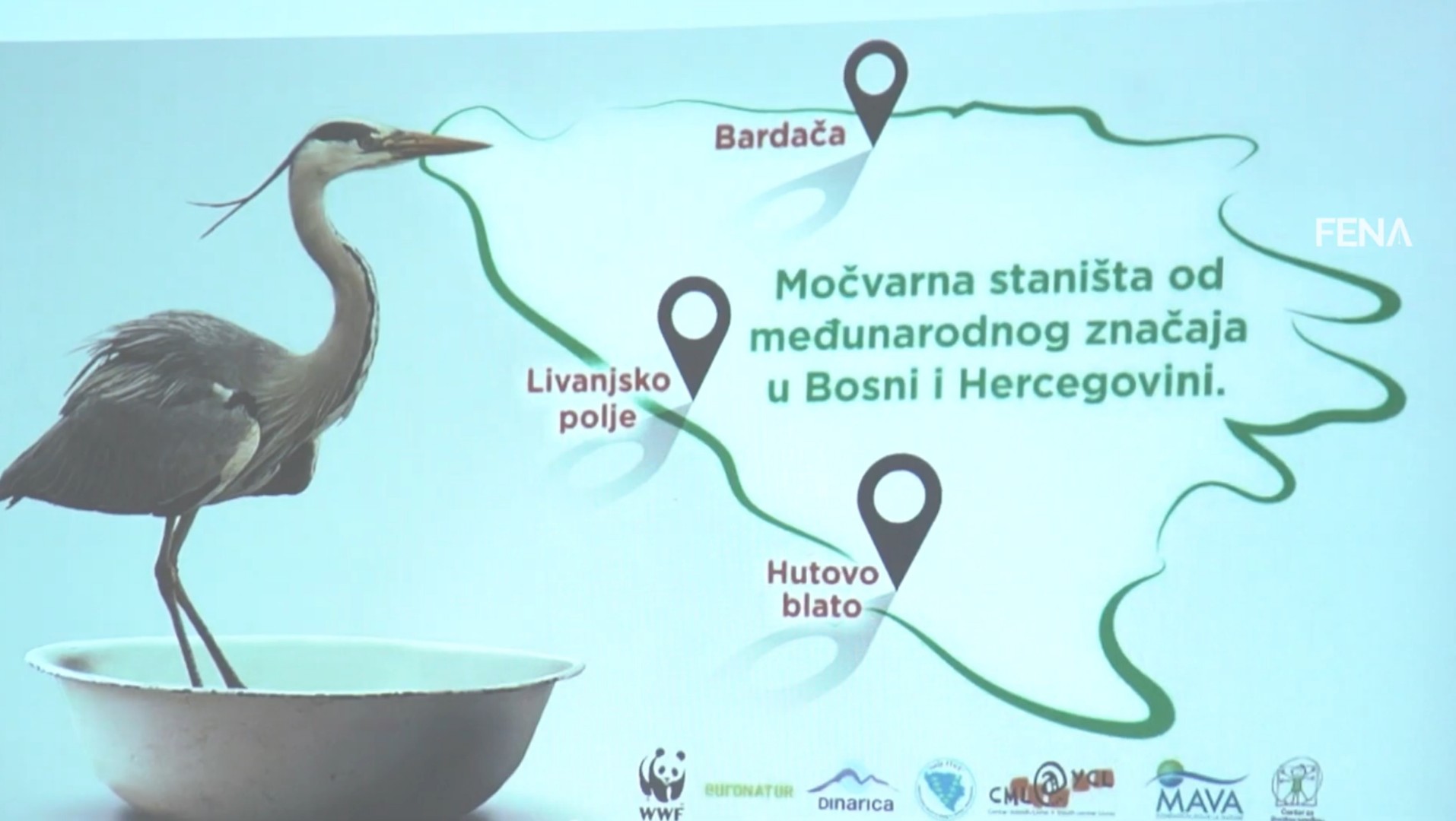 Ukazano na značaj bh. močvara za ptičije migratorne vrste