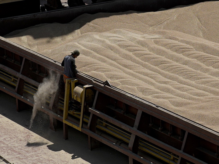 Ukrajina ove godine izvezla više žitarica nego cijele prošle