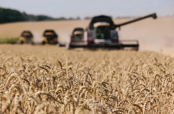 Ukrajina uvela privremena ograničenja na izvoz žita u Rumuniju i Moldaviju